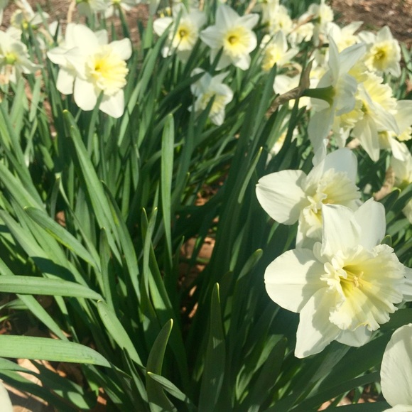 Meet your Posher, Monica - Picture 1 of 1